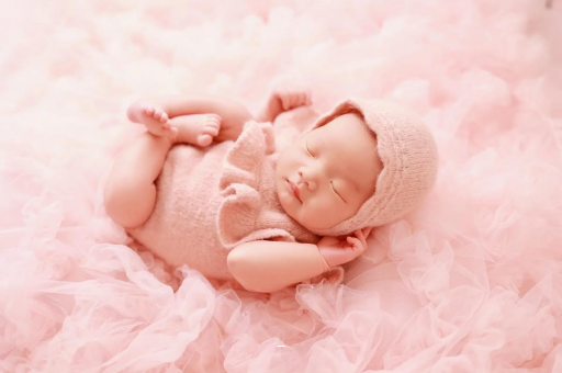 内蒙古8个月宝宝辅食 内蒙古8个月宝宝辅食